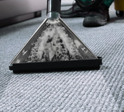 NLC Solutions Carpet Cleaning
