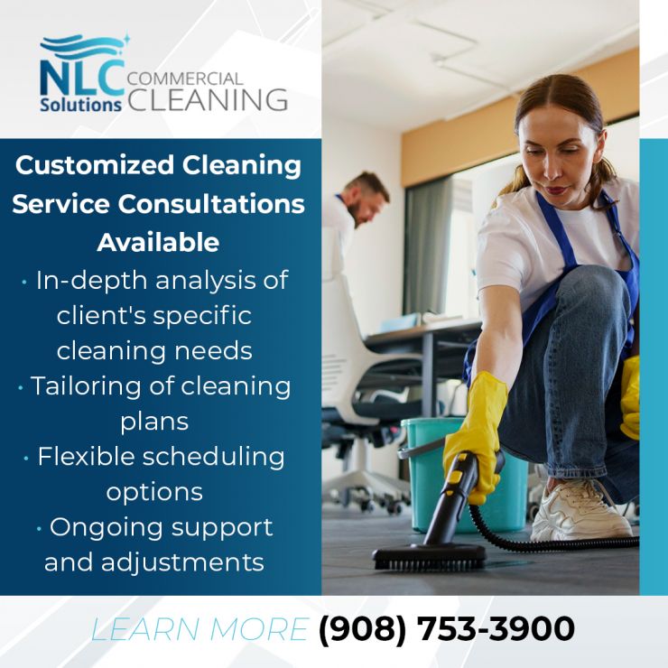 NLCS-Customized Cleaning Service Consultations Available.jpg